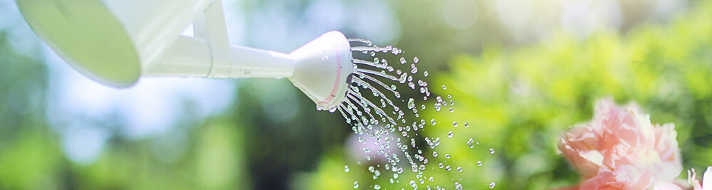 watering can