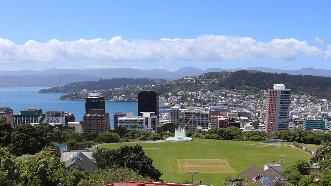 Wellington Movers, Storage & Transportation Company Grace Removals NZ