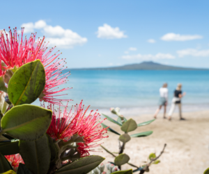 Auckland Beach | Grace NZ Blog