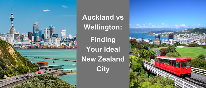 Auckland vs Wellington | Grace NZ Blog