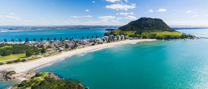 5 Things to Consider when Moving Cities in NZ | Grace Removals NZ Blog