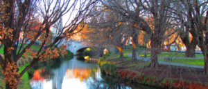 From Auckland to Christchurch: A Comprehensive Moving Guide for Kiwis | Grace Removals NZ Blog