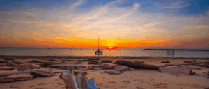Thinking of Moving to Darwin from New Zealand? | Grace Removals NZ