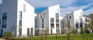 Moving House in Auckland: What Locals Should Know Before They Move | Grace Removals NZ