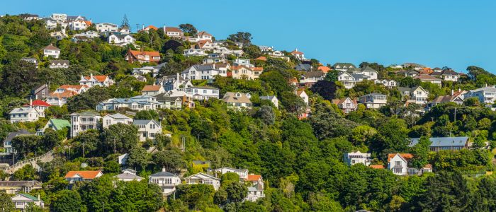 Moving Within Wellington: Apartment Moves, Access and Parking Tips | Grace NZ Blog