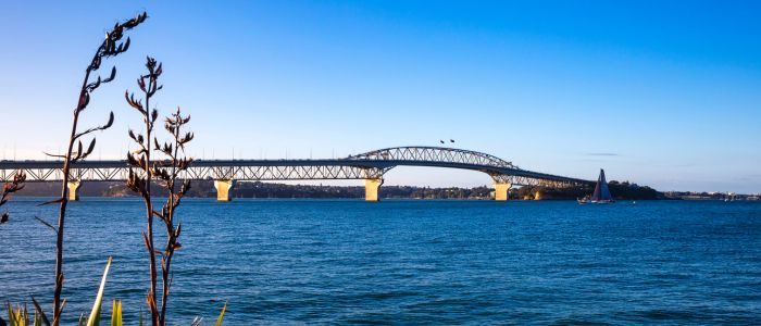 Planning a Local Move in Auckland | Grace Removals NZ