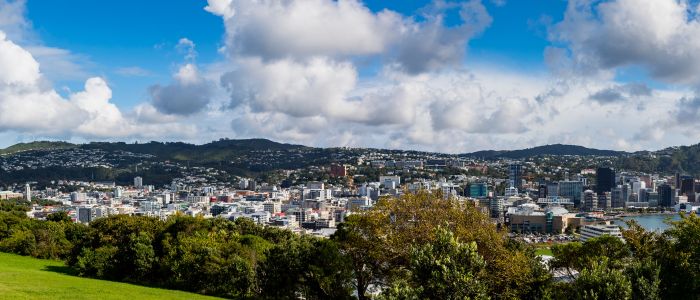 Planning a Suburb-to-Suburb Move in Wellington: Practical Local Considerations | Grace Removals NZ Blog
